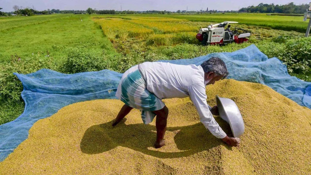 Telangana: ధాన్యం సేకరణ విషయంలో కీలక నిర్ణయం తీసుకున్న కేంద్రం!..