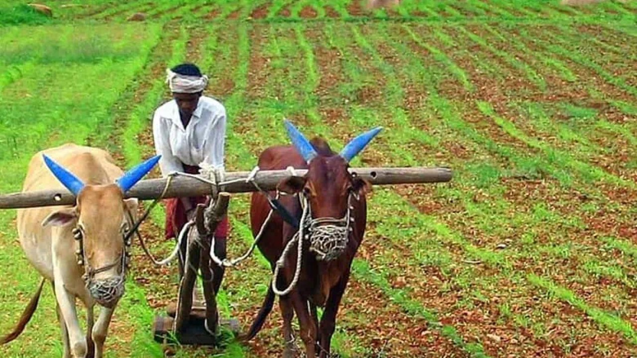 Telangana: తెలంగాణ కౌలు రైతులకు గుడ్న్యూస్.. కీలక నిర్ణయం దిశగా రేవంత్ సర్కార్!..