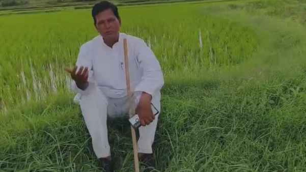 Chinna Reddy: కష్టపడి ఈ స్థాయికి వచ్చా, ఒక్క పోటుతో కూల్చేశారు-చిన్నారెడ్డి