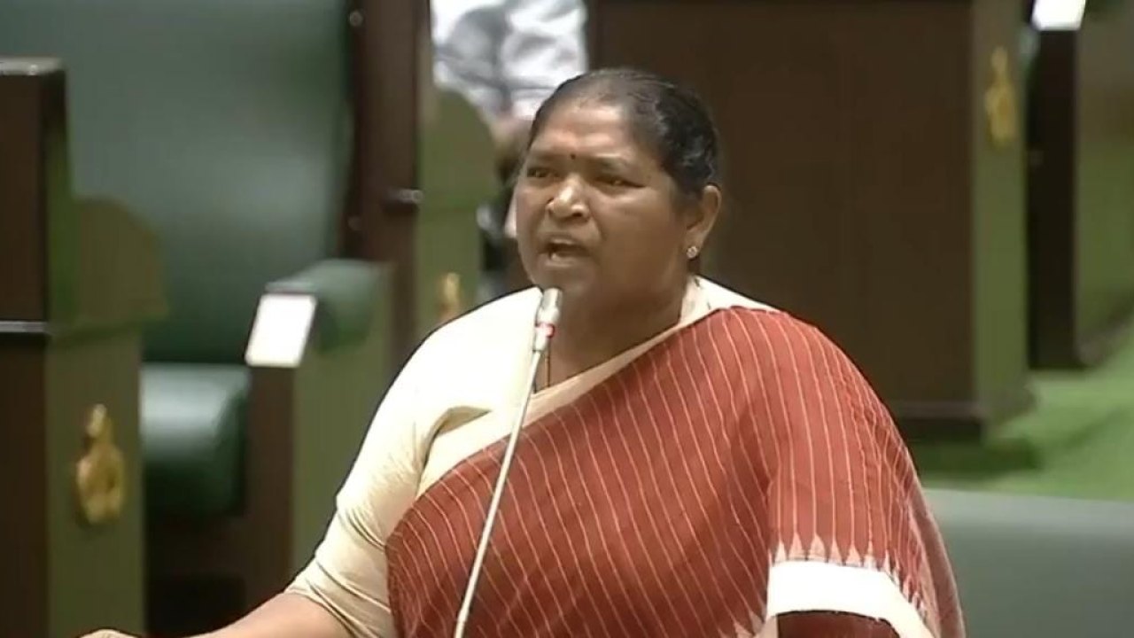చీర నిజంగా లాగారా? మహిళా ఎమ్మెల్యేలు ఆత్మపరిశీలన చేసుకోవాలి: సీతక్క