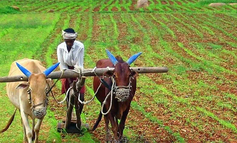 Telangana: తెలంగాణ కౌలు రైతులకు గుడ్‌న్యూస్‌.. కీలక నిర్ణయం దిశగా రేవంత్ సర్కార్!..